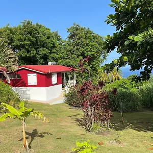 Grand Avec Piscine Et Vue Bouillante
